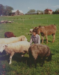 Photo of the shepherd in the pasture